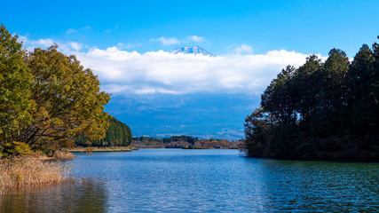 Fototapeta na wymiar Fuji Mountain at Tanuki Lake 2