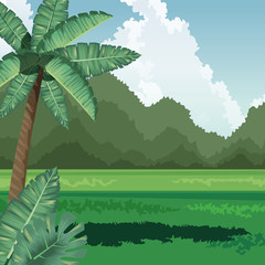 Fototapeta na wymiar tropical palm coconut field leaves mountains background