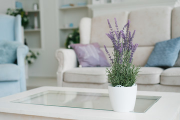 vase with lavender flowers in the interior decor of the living room in light colors with blue color