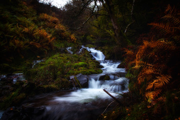 Cascading Falls
