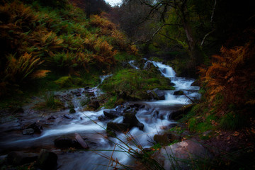 Cascading falls