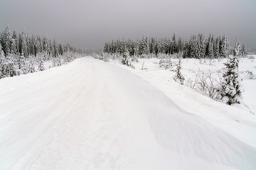 Fototapeta na wymiar Winter road in Siberian forests