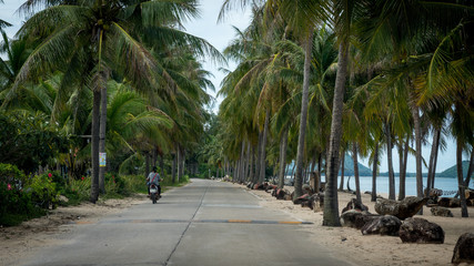 Motorcyclist riding motorcycle down palm tree lined beach