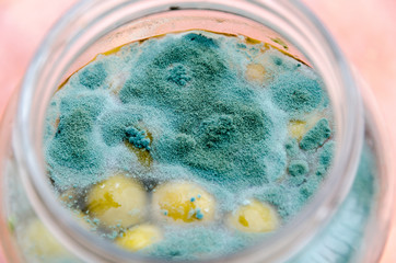 food mold on food, spoiled green olives in glass jar, dangerous bacteria for human organism, food after guarantee