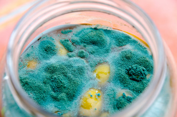 food mold on food, spoiled green olives in glass jar, dangerous bacteria for human organism, food after guarantee