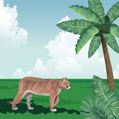 feline walking palm leaves tropical fauna and flora landscape