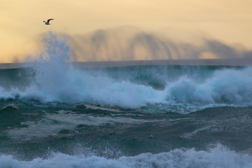 View of crushing ocean wave creating spiral spray trace on windy day in sunset light