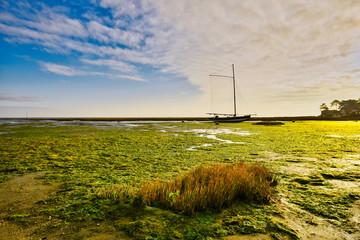 Bassin d'Arcachon