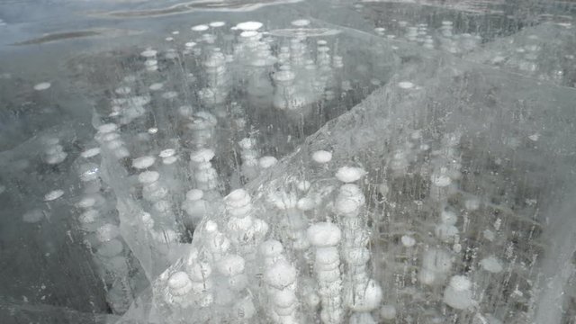 CLOSE UP: Air bubbles are trapped under a thick layer of ice covering a famous lake in the Canadian Rockies. Detailed shot of the slippery surface of frozen Lake Abraham full of big methane bubbles.