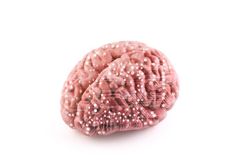 Computer human brain isolated on white with clipping path