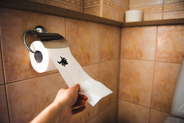 Drawn spider on toilet paper joke - obrazy, fototapety, plakaty