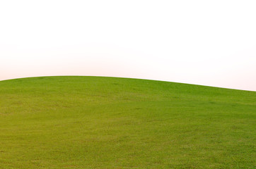 Obraz premium Green grass field isolated on white background with clipping path.