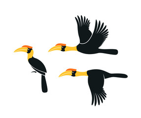 Hornbill logo. Kalao. Isolated hornbill on white background 