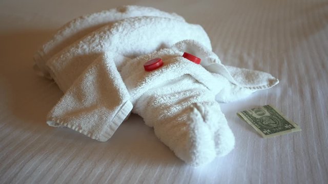 Closeup view of cute elephant shape made with white towel in room of hotel. Housekeeper of hotel takes tips from sheet of bed. Real time full hd video footage.