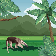 Obraz na płótnie Canvas anteater palms leaves bush tropical fauna and flora landscape