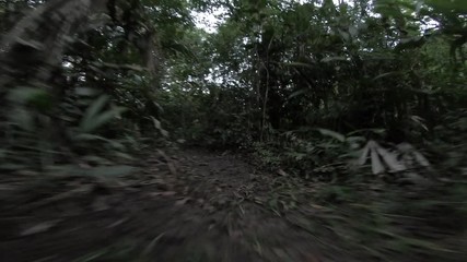 First person view of a mysterious creature running through the jungle