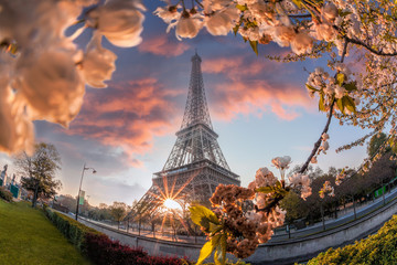 Eiffel Tower during spring time in Paris, France