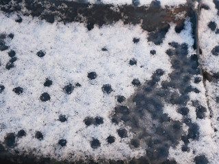 Snow on the bin. gray trash can in a row with snow on top on a cold winter day. Snow Thaw. Thaw