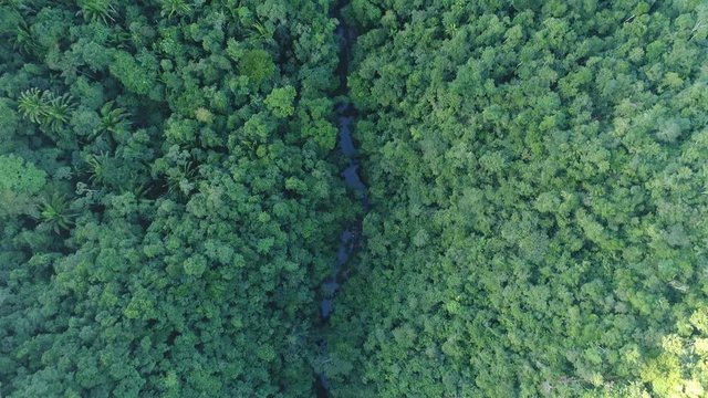 Flight over Mayan Mountains in Central American Jungles