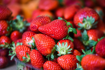 fresh strawberries close up within the fruits market in Prague