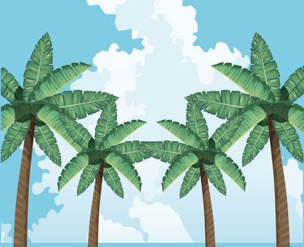 palms tree clouds sky decoration tropical background