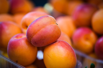 fresh apricots close up view