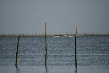 Bassin d'Arcachon