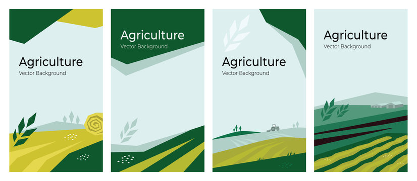 Cover design with agriculture or farming concept. Vector illustrations with farm land, field, spike of wheat. Set of banner backgrounds. Templates with tractor, harvest, hayfield for flyer, poster, ad