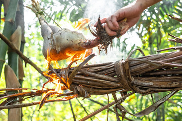 Man is roasting chicken with with dry coconut leaves bonfire at camping in the forest.
