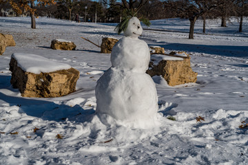 Snowman with Pine Bough Hair
