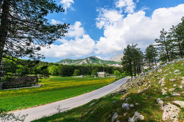 Fototapeta na wymiar the view of the mountains in Montenegro. mountain ranges in summer in green , blue sky