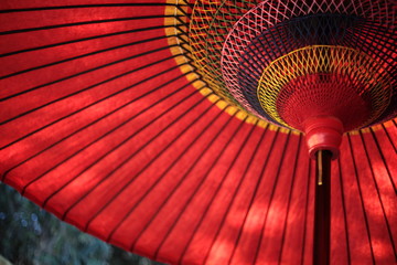Japanese traditional Umbrella
