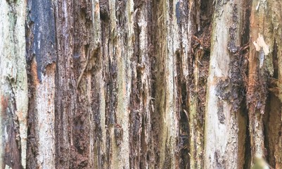 Obraz premium Abstract.