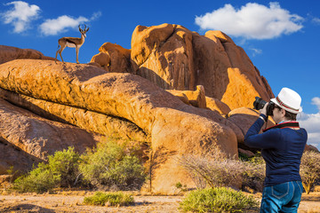 In the Namib desert