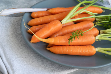 Raw fresh carrots, biological agricultural production