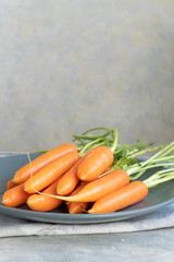 Raw fresh carrots, biological agricultural production