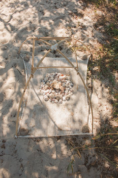 Seashells and dried crab on a hand-made shrimp device on a sandy beach.