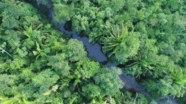 Flight over Mayan Mountains river in Central American Jungles