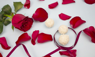Valentines day, Valentine, Valentines day background, Valentines day background, Red rose and rose petals rose with a heart and a red ribbon on a white background. Copy space
