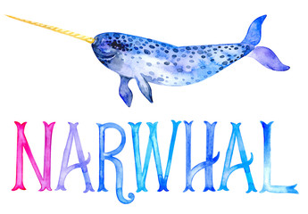 A mammal of the narwhal family. Lettering