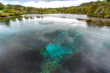 Te Waikoropupu Springs, New Zealand