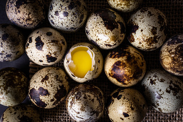 Obraz premium Quail eggs, one opened, the rest whole. Dark background, burlap. View from above. The concept of organic natural products, protein food.