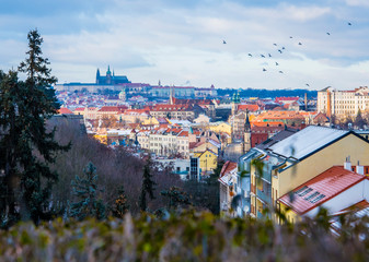 view of the city