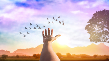 a men raise hand up on sunrise sky or birds flying scene copy space background.