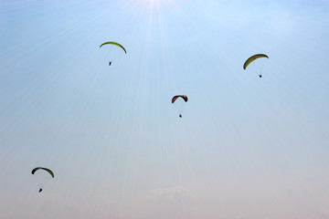 A huge group of sportsmen flies in the sky in a professional suit on a paraglider. Paragliding Sport Concept for advertising and designers projects