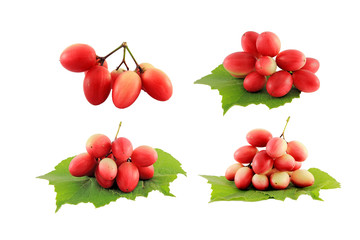 Carunda or Karonda fruits with leaves isolated on white background, 
