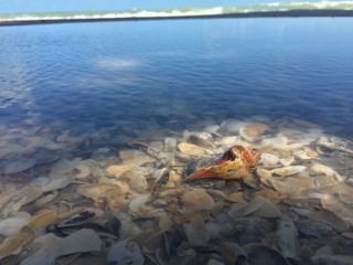  on the beach and colorful.