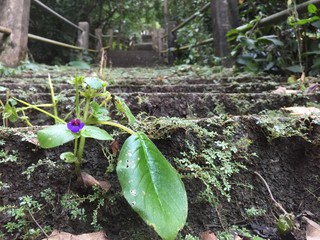  on the beach and colorful.