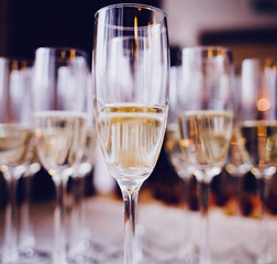 glasses of champagne or wine