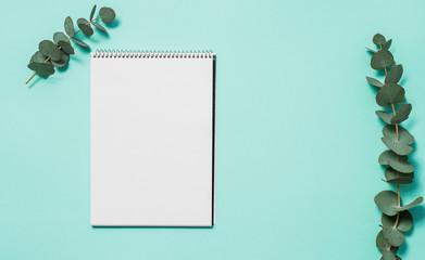 Blank notebook and eucalyptus on blue background. Empty notebook paper and eucalyptus branch on pastel blue background with copy space for text or design. Horizontal. Flat lay, top view, copyspace